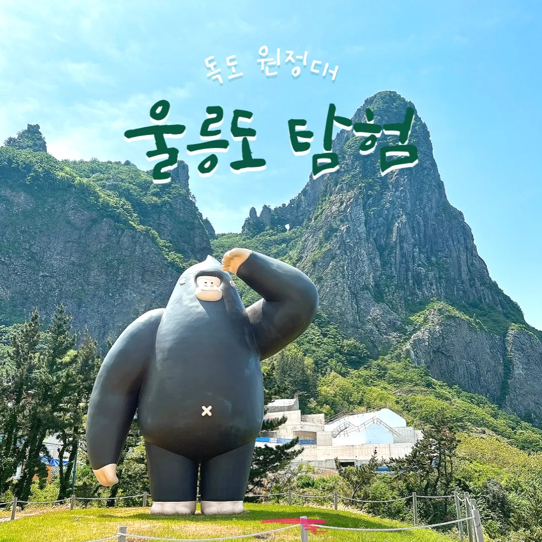 울릉도 탐험 이미지