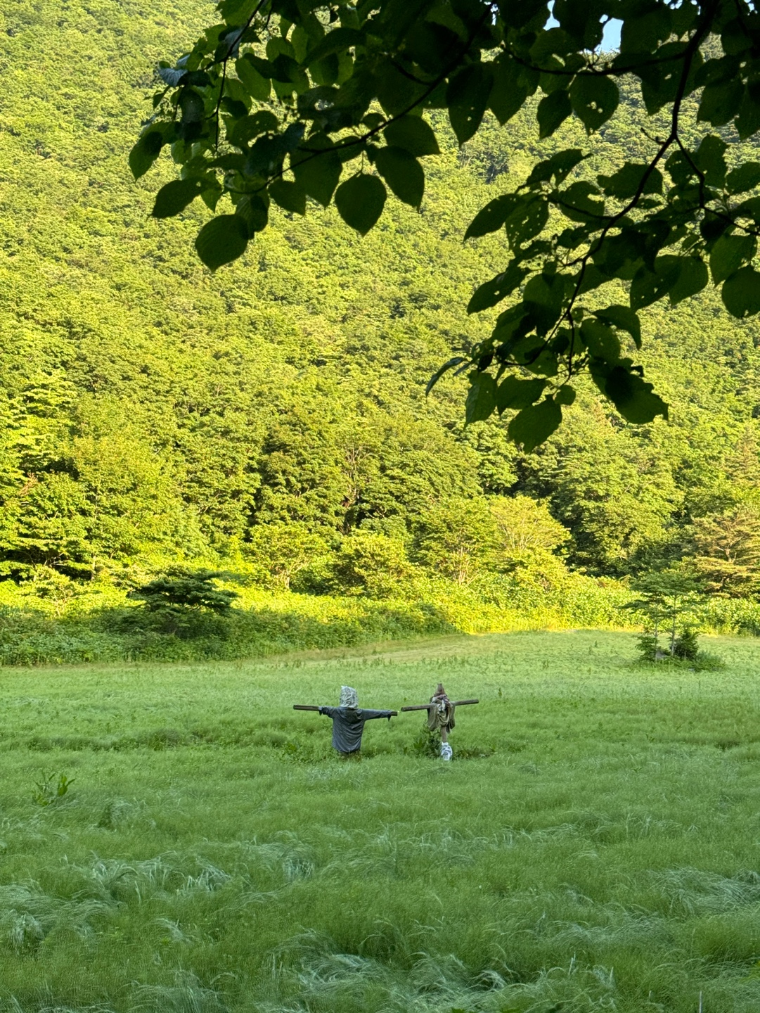 [8월23일 증원: 남성 2명 신청 가능]울릉도 대탐험 with 독도 원정대 (7,8월)