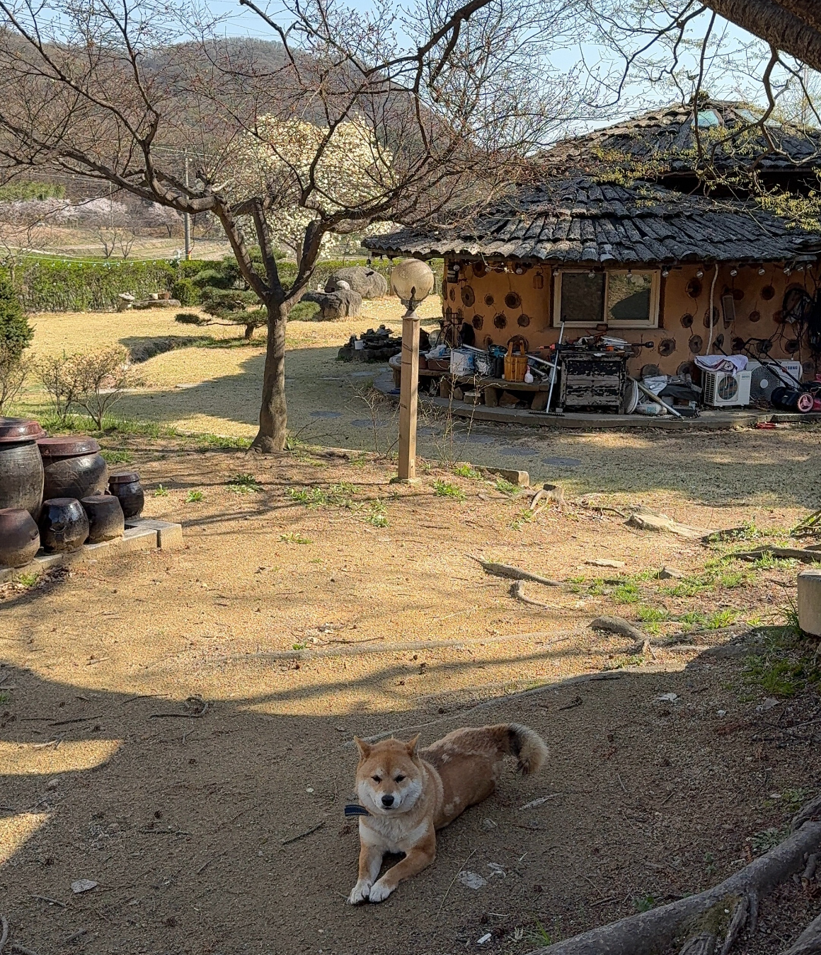 [2기 확정] 경기 남부권 주목, 안성 청춘 촌캉스 오픈 임박 (2기 8월22일)