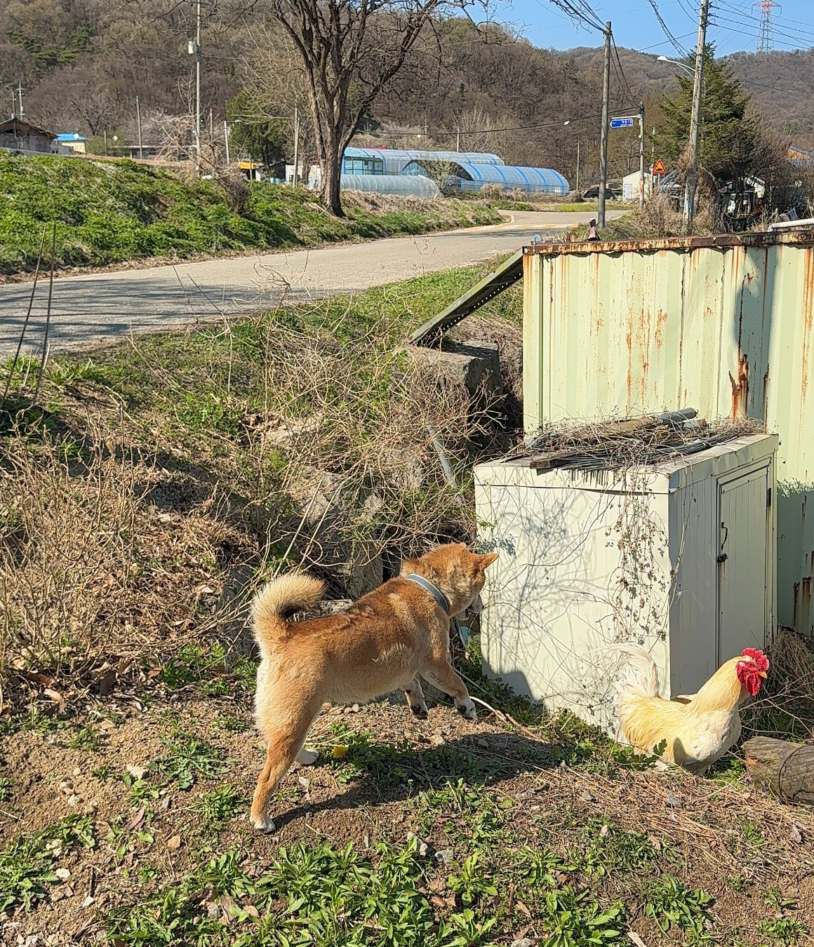 [2기 확정] 경기 남부권 주목, 안성 청춘 촌캉스 오픈 임박 (2기 8월22일)