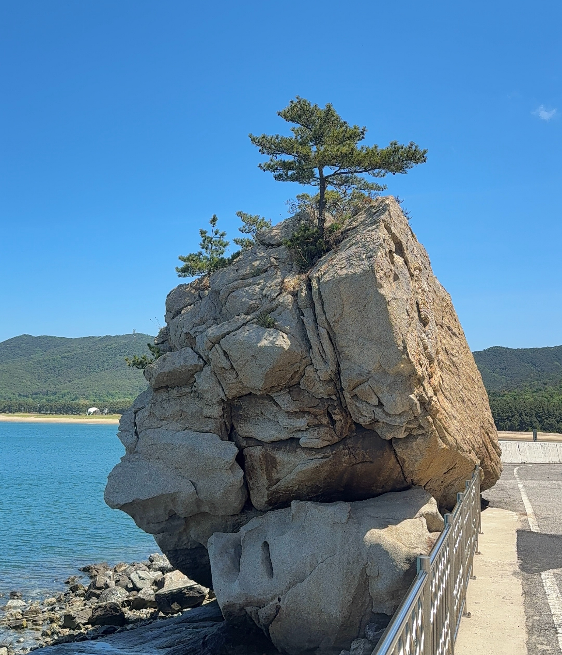 [8월 유일한 기수] 지구놀이터X노랑풍선 덕적도 청춘 섬캉스 3기 (8월 8일)