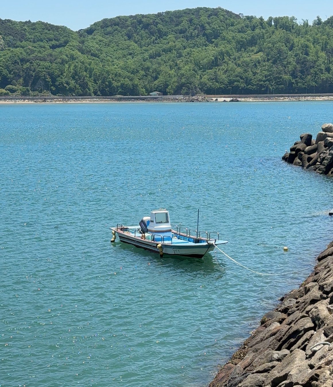 [8월 유일한 기수] 지구놀이터X노랑풍선 덕적도 청춘 섬캉스 3기 (8월 8일)