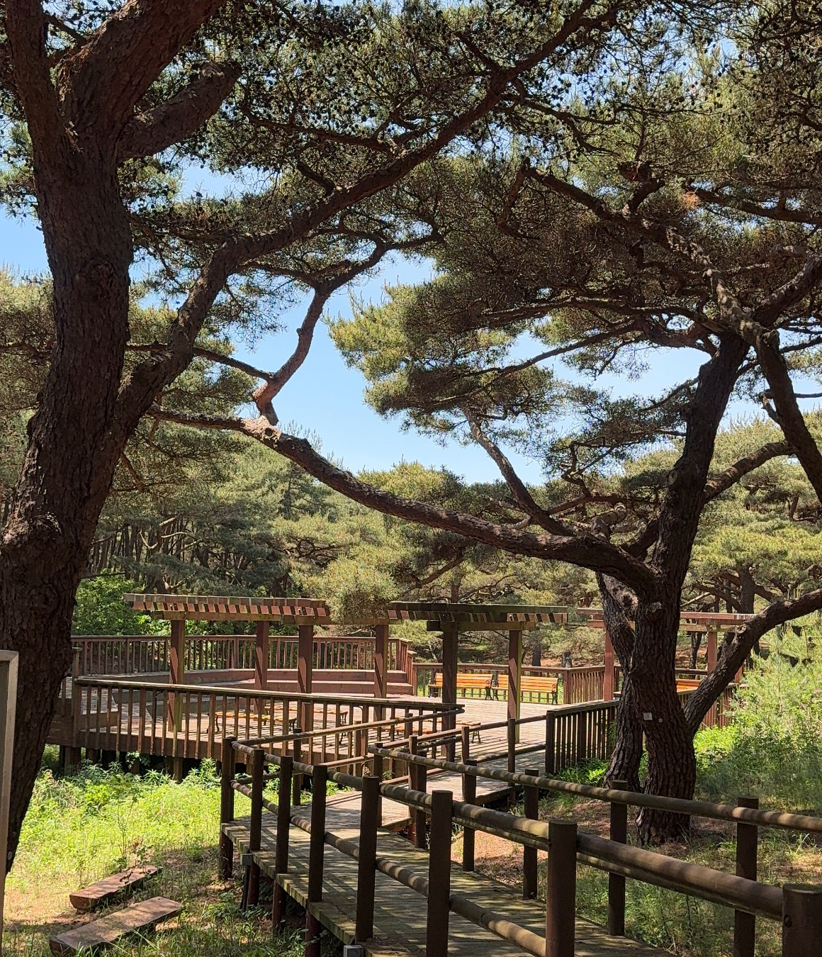 [8월 유일한 기수] 지구놀이터X노랑풍선 덕적도 청춘 섬캉스 3기 (8월 8일)