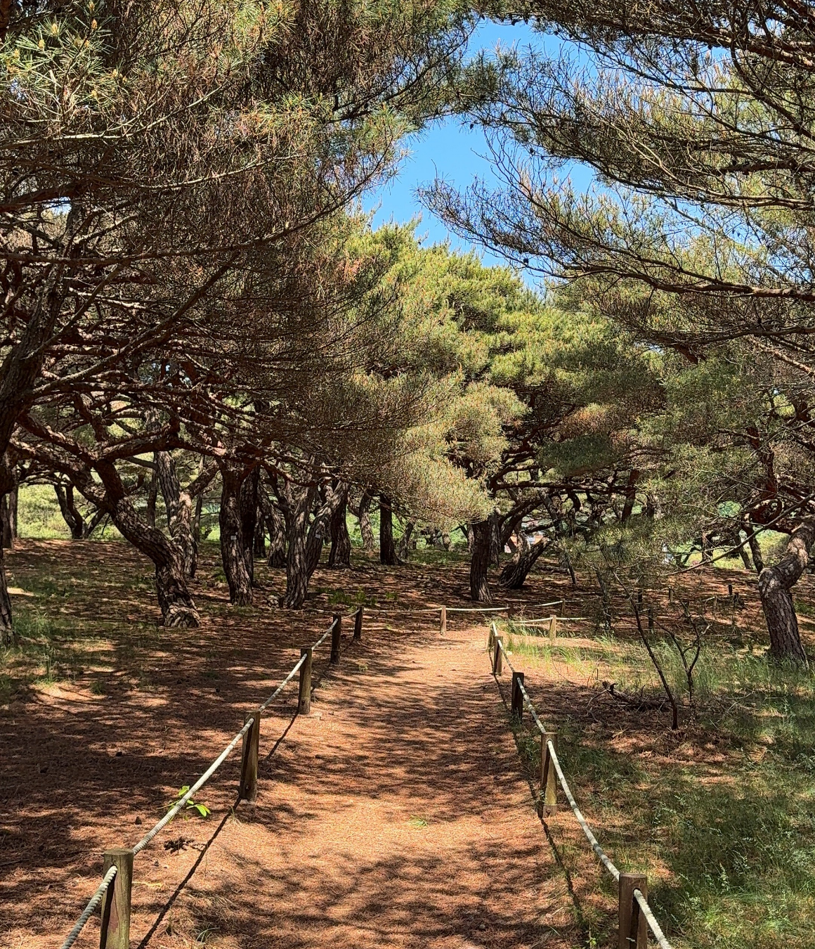 [8월 유일한 기수] 지구놀이터X노랑풍선 덕적도 청춘 섬캉스 3기 (8월 8일)