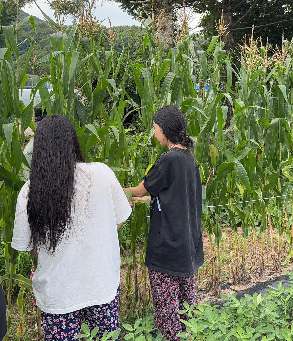 [가을기수 OPEN] 솥뚜껑에 바베큐 구워먹는 안성 낭만 촌캉스 (10월 10일, 24일)