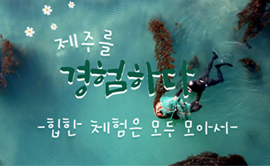 제주 체험여행 이미지